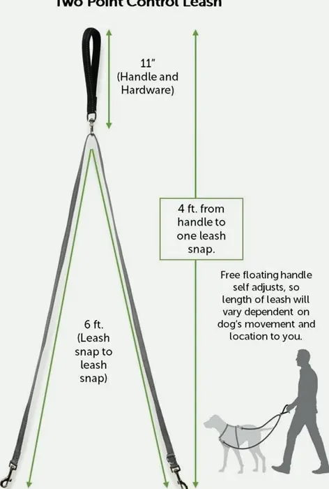 Pet Safety Dual Point Control Lead, Padded and Shiny Fabric