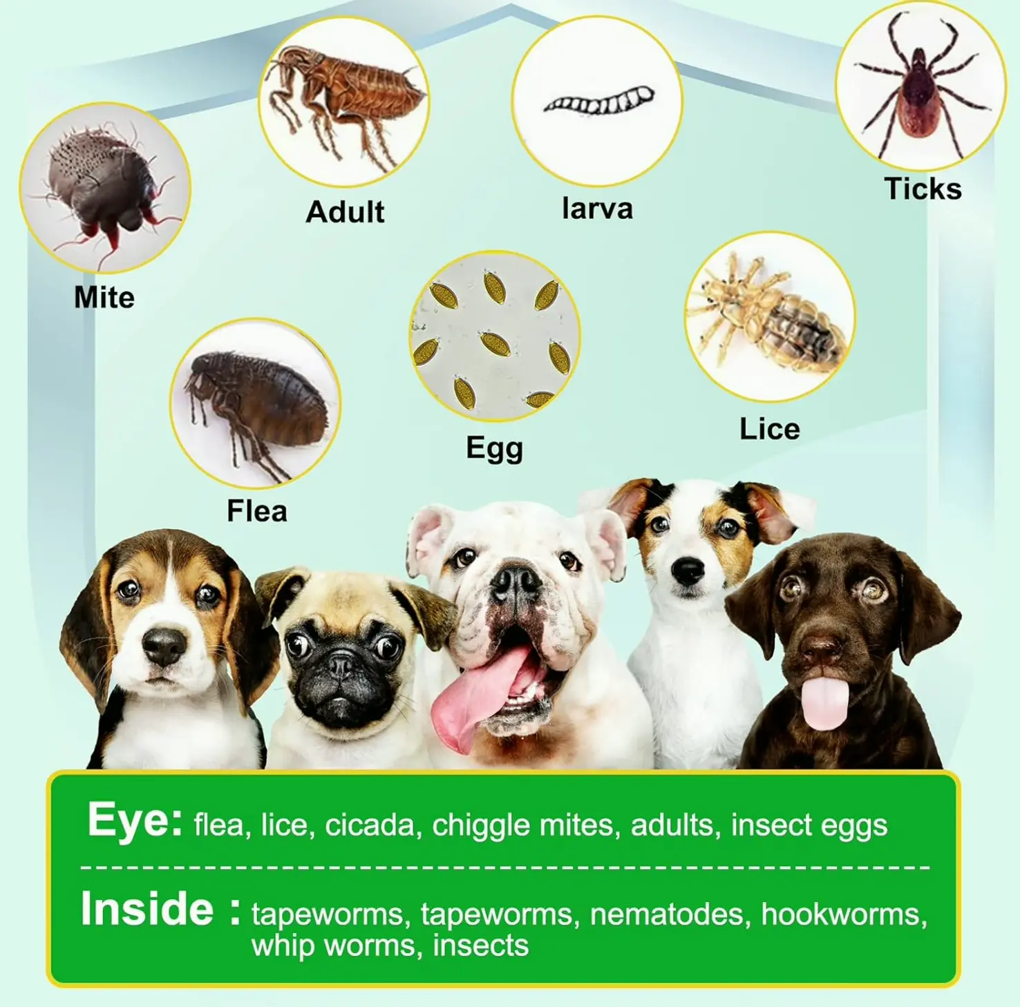 Dog Flea Treats - Tasty Duck (150 pcs)