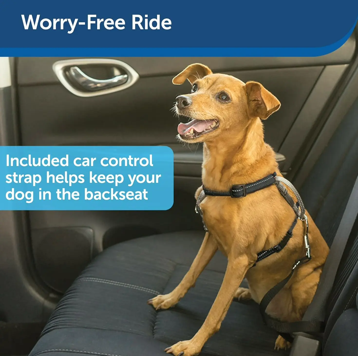 PetSafe Three-in-One Harness plus Two-Point Control Leash, Resizing, Minor, Dark