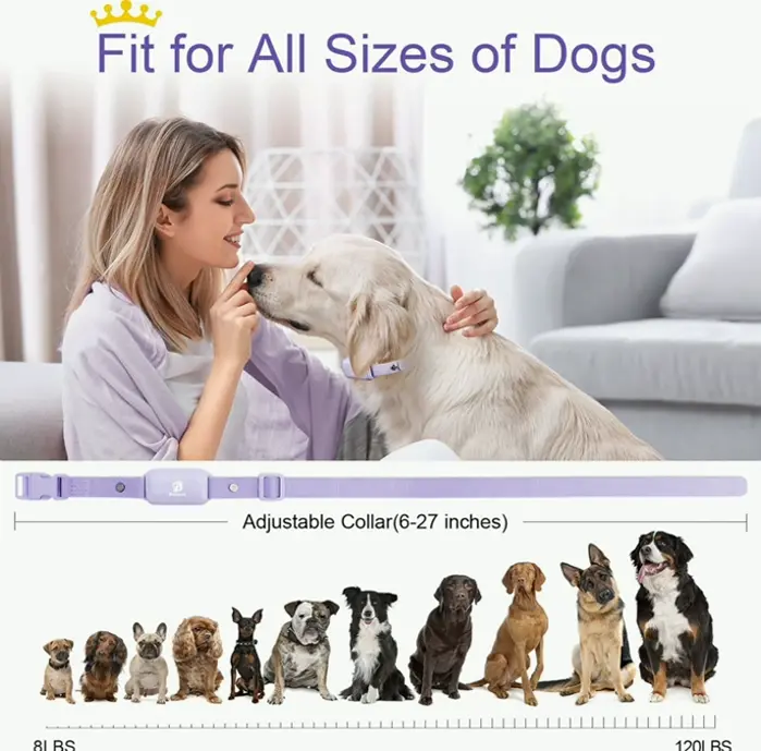 Bousnik Water-Resistant Dog Coaching Collar Violet