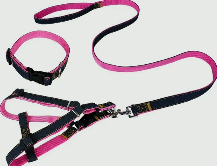 Jean Pet Harness Kit for Puppy Kitten, Flexible