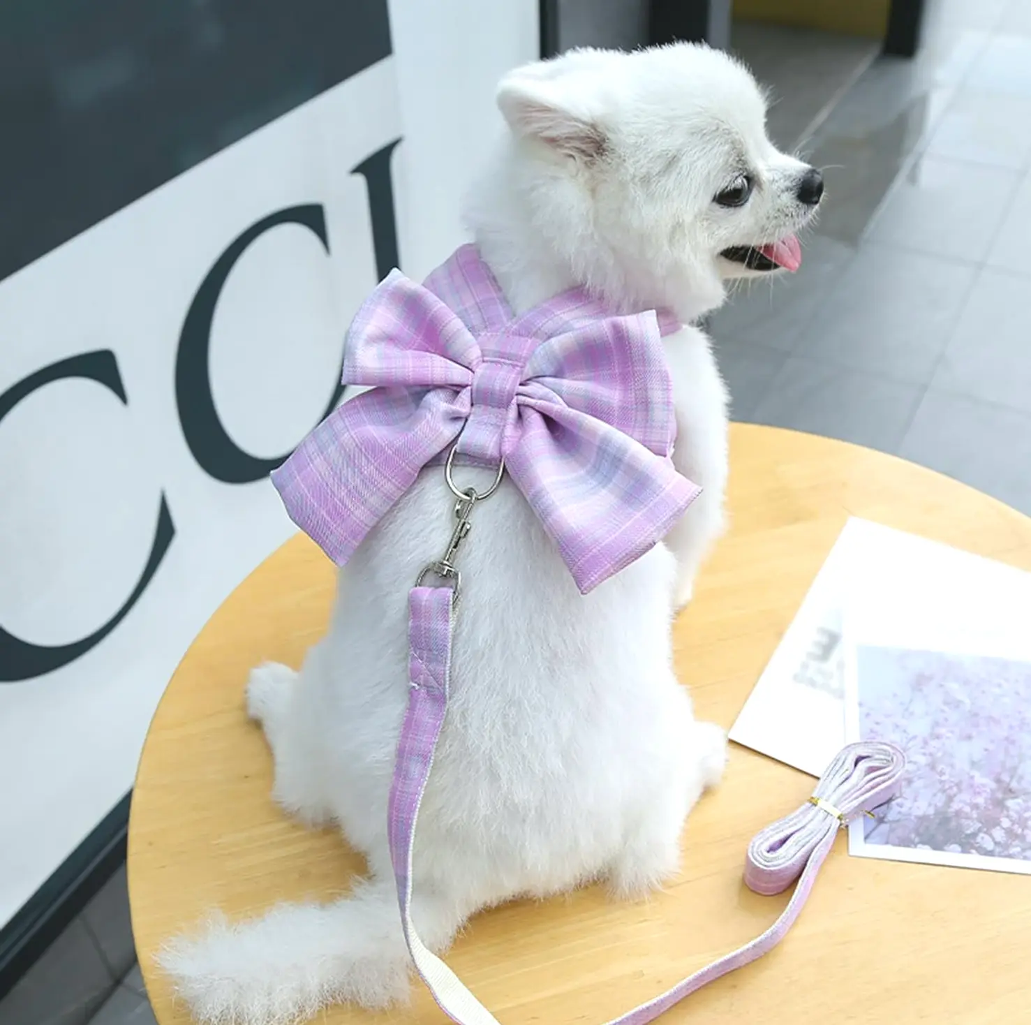 Pet Leash Set with Cute Plaid Design