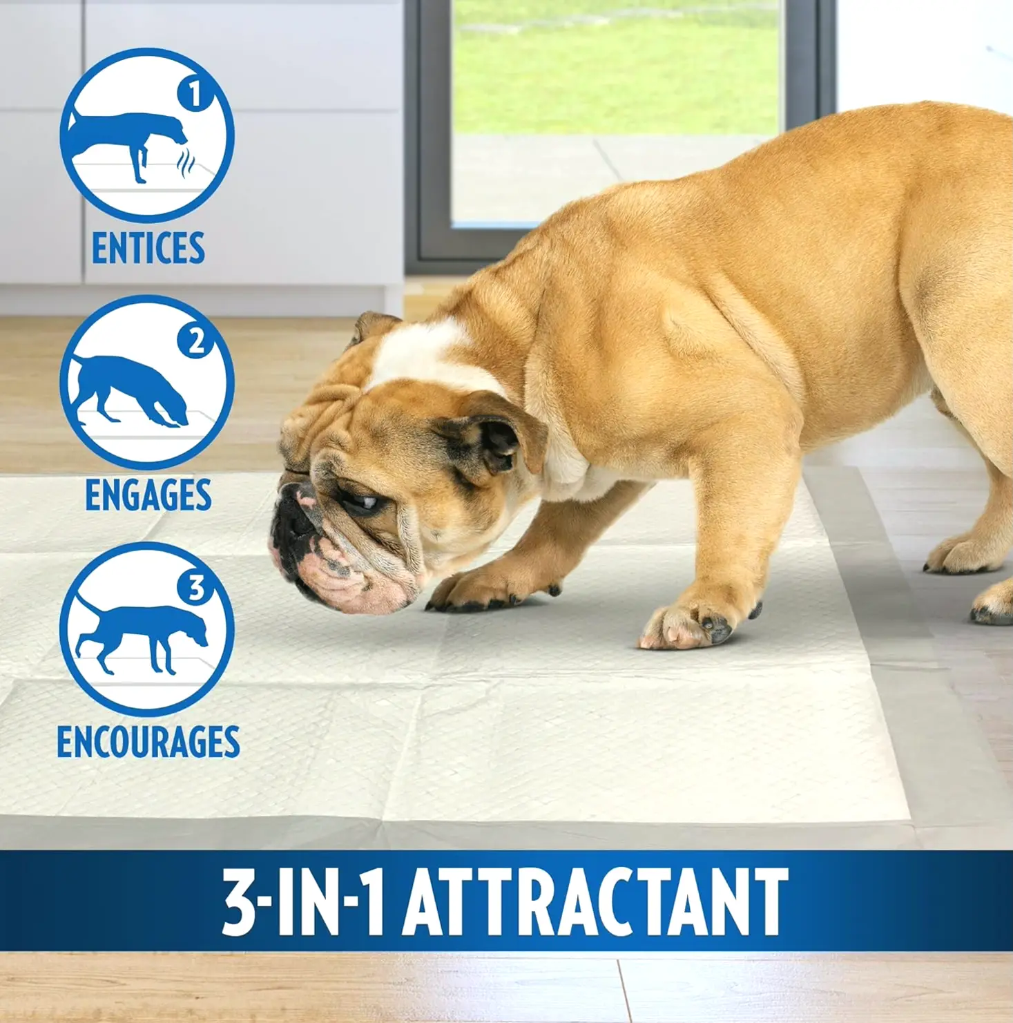 Heavy Powerful XXL Dog Training Pads - Absorbing Animal Practice Pads - 26 x 30 in - 30 Count, White