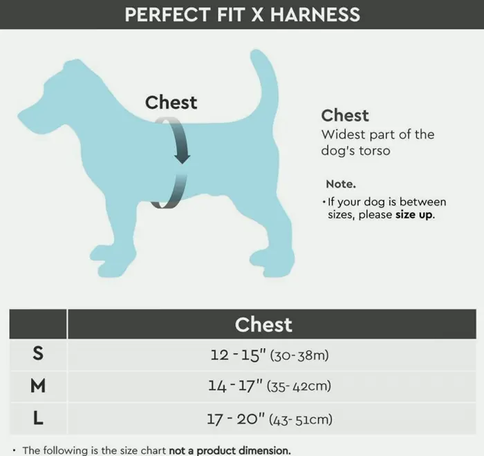 Goby - X Harness for Dogs, Small Dog Choke-Free Step-in Strap, Big