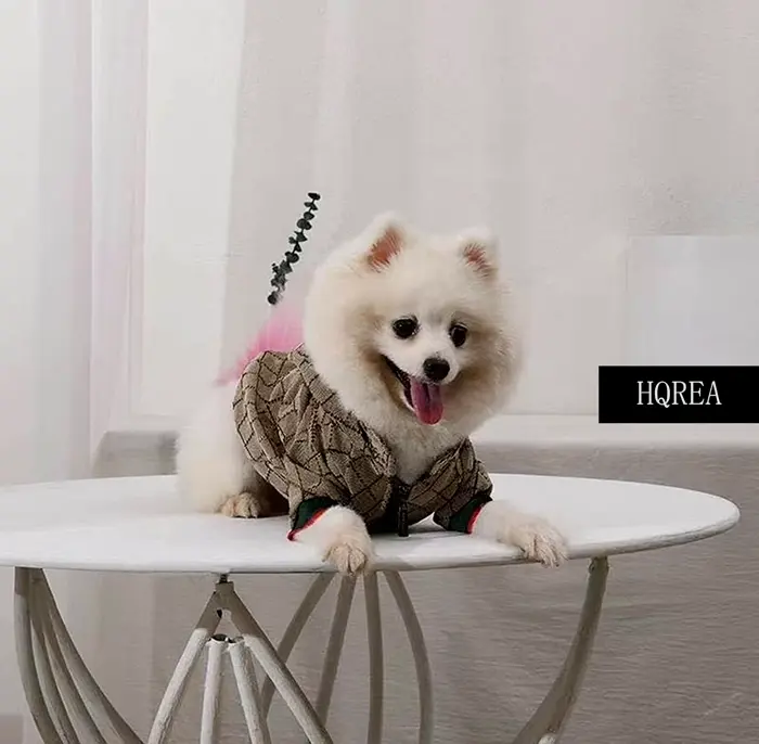 Elegant Pet Sweater for Winter with Hood
