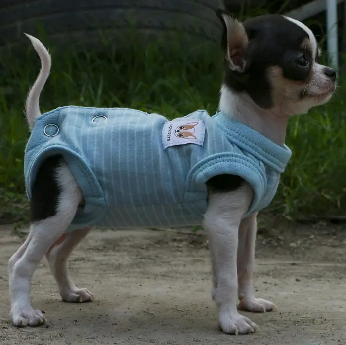 LOPHIPETS Dog Apparel Recovery Outfit Pajamas - Extra Small