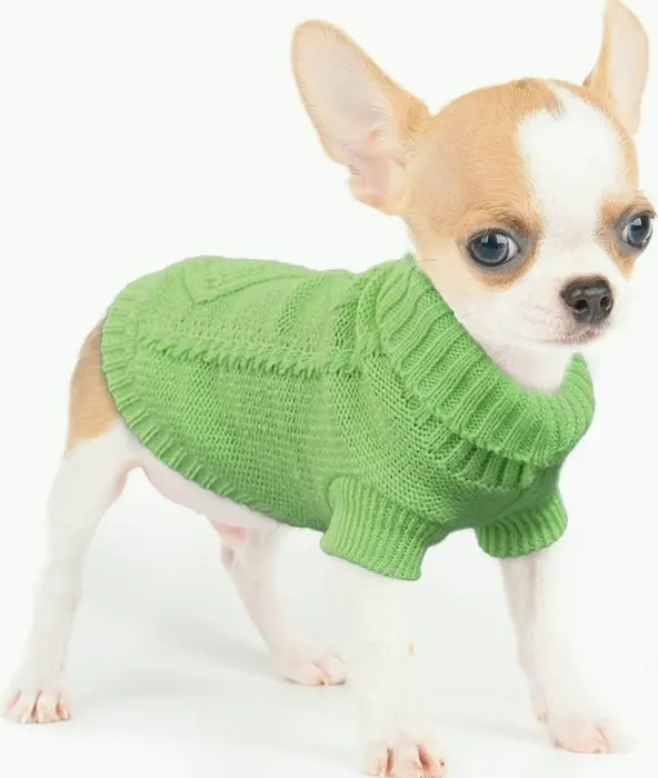 Adorable Sweaters for Small Dogs 2-Piece