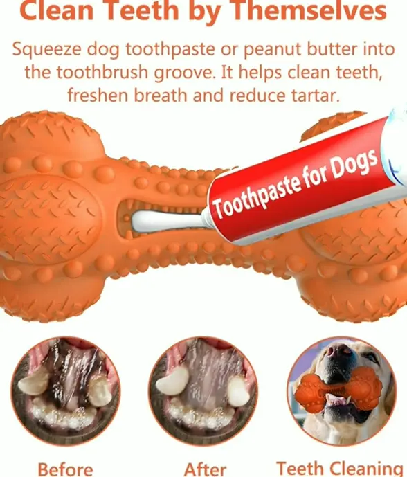 Durable Squeaky Chew Bone for Dogs