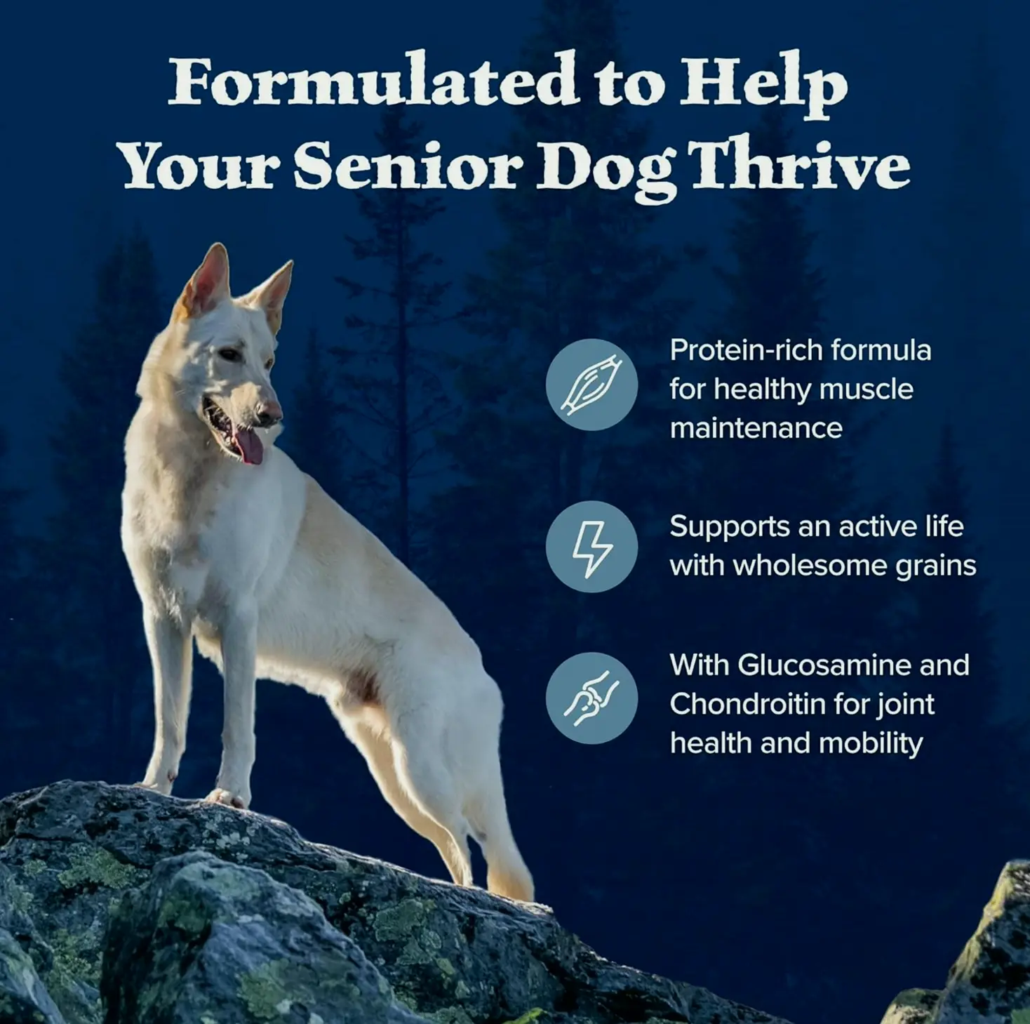 Blue Buffalo Wilderness Elderly Canine Food, High Protein, Chicken Flavor, 24-lb. Pack