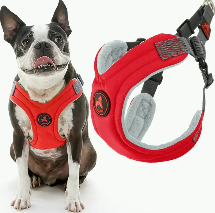 Harnesses & Leashes