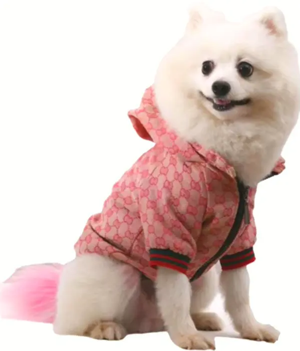 Elegant Pet Sweater for Winter with Hood