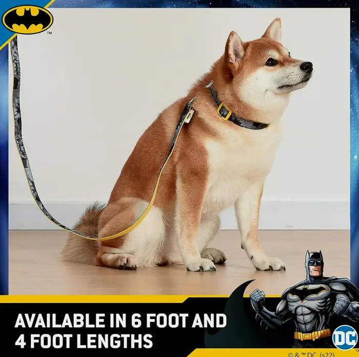 Classic Dark Knight Dog Leash - 6 ft
