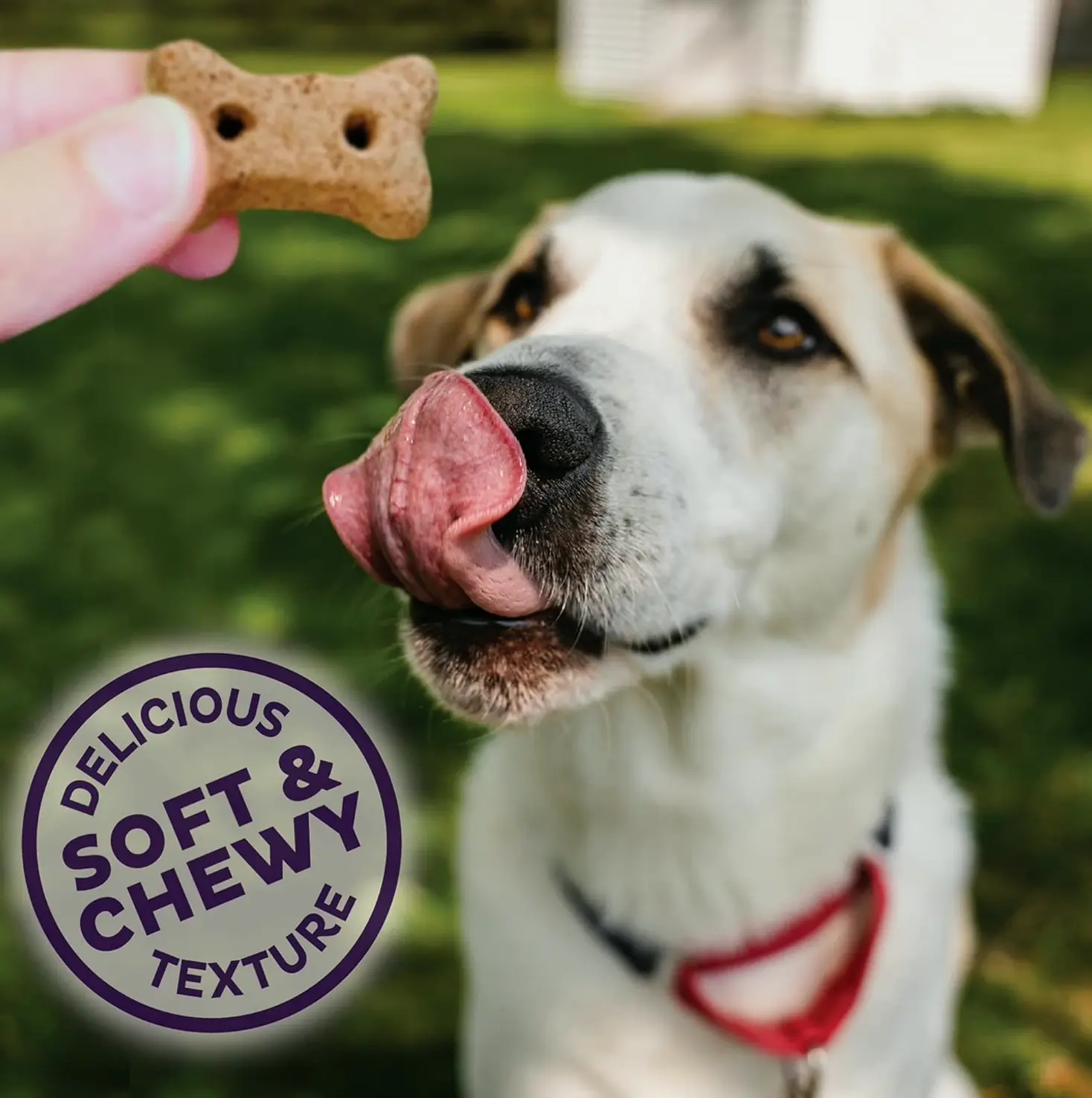 Wellness Soft Treats, Small Portion, 8 Oz Bag