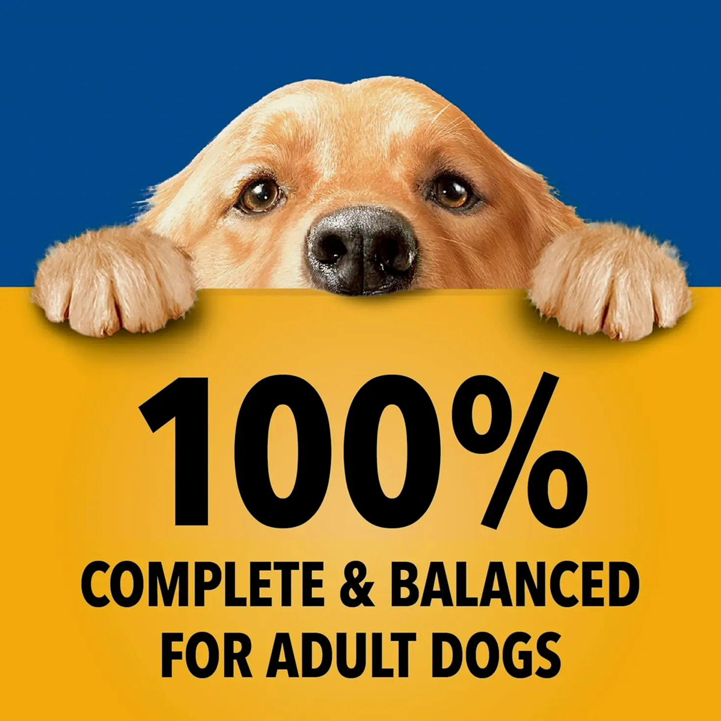 Ped Mature Canine Meal Assortment Bundle, 13.2-ounce Tins