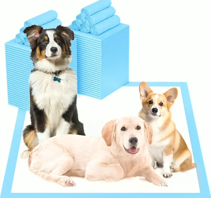 Doggie Pads 24x36 in 60pcs, Leak-Proof Thickened Potty Training Mats