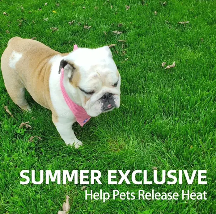 Quick Chill Bandana for Pets - 4 Pack