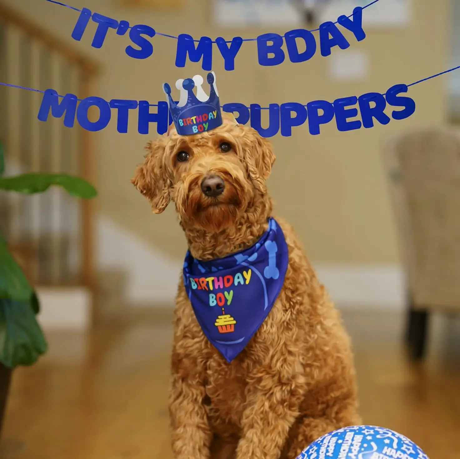 Dog Party Set: Scarf, Hat, & Banner
