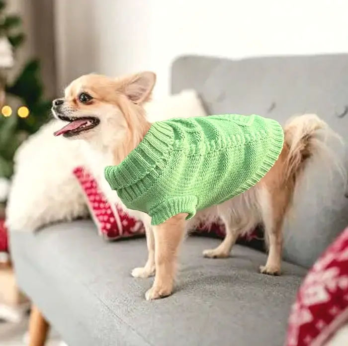 Adorable Sweaters for Small Dogs 2-Piece