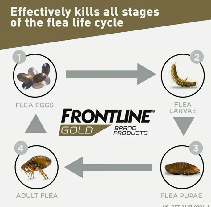Frontline Gold Flea & Tick Solution for Large Dogs, Pack of 3