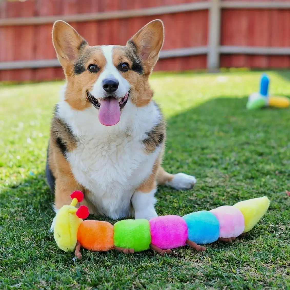 Vibrant Caterpillar Puppy Plaything with Squeakers