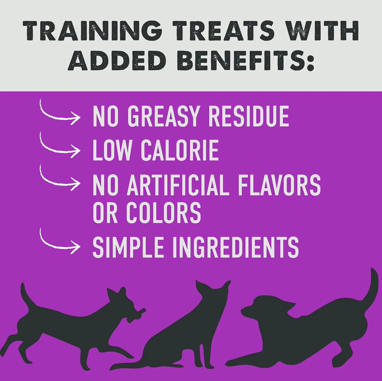 Sky Guru Chewy Dog Teaching Treats 5oz Liver Flavor