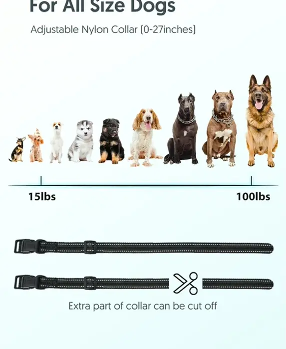 PETPET Dog Teaching Device and Controller