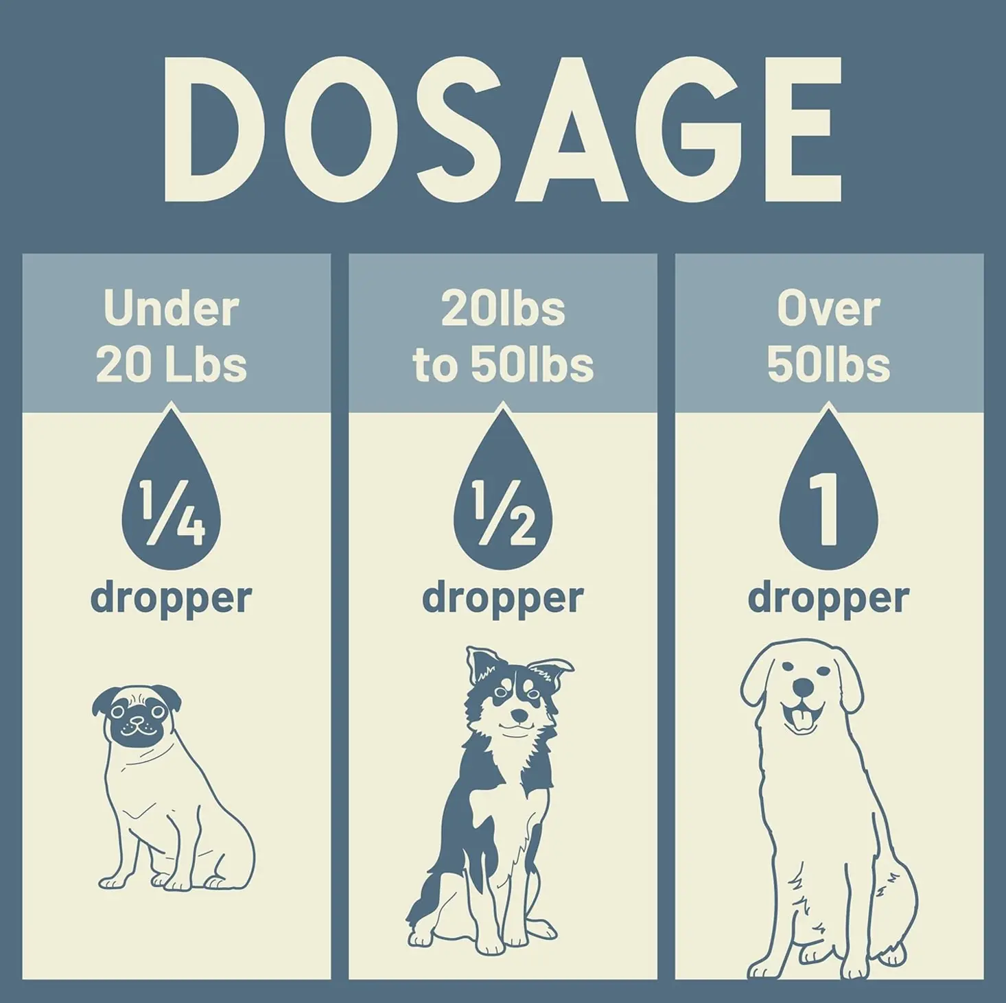 High-quality Hemp Oil for Dogs & Felines - Relieves Stress, Supports Joint Wellness