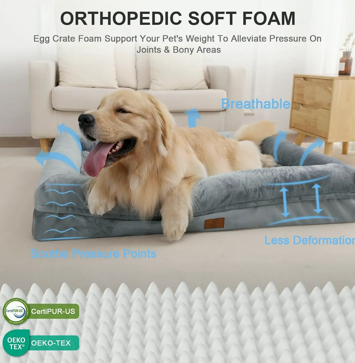 XL Orthopedic Dog Bed with Detachable Covers