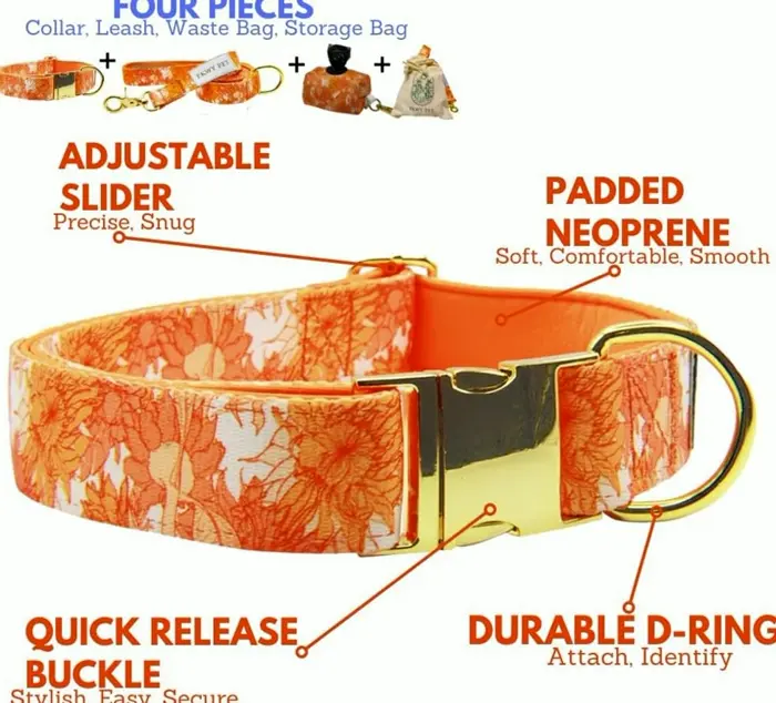 Matching Dog Collar and Leash Set with Storage (S)