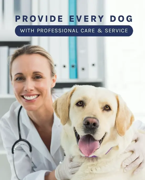 Calming Pheromone Neckband for Pets - 60 Days Calm - 4 Packs