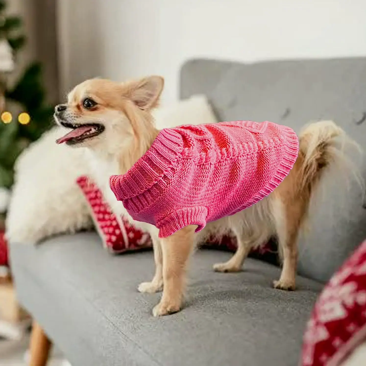 Adorable Sweaters for Small Dogs 2-Piece