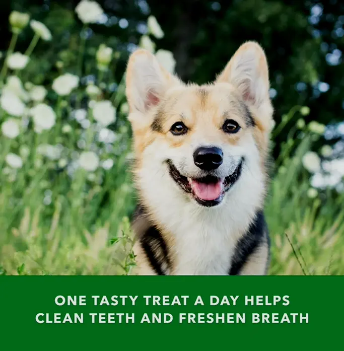 Online Label - Wag Tooth Dog Chews for Oral Hygiene - Medium, No Flavor, 36 Count (Pack of 1)