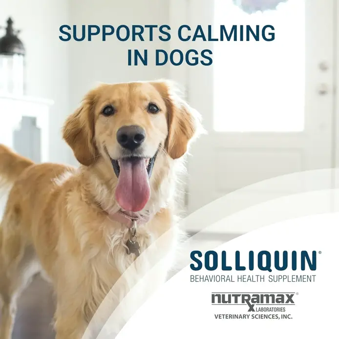 NutriMax Solliquin for Big Dogs - Soothing Supplement, Chews