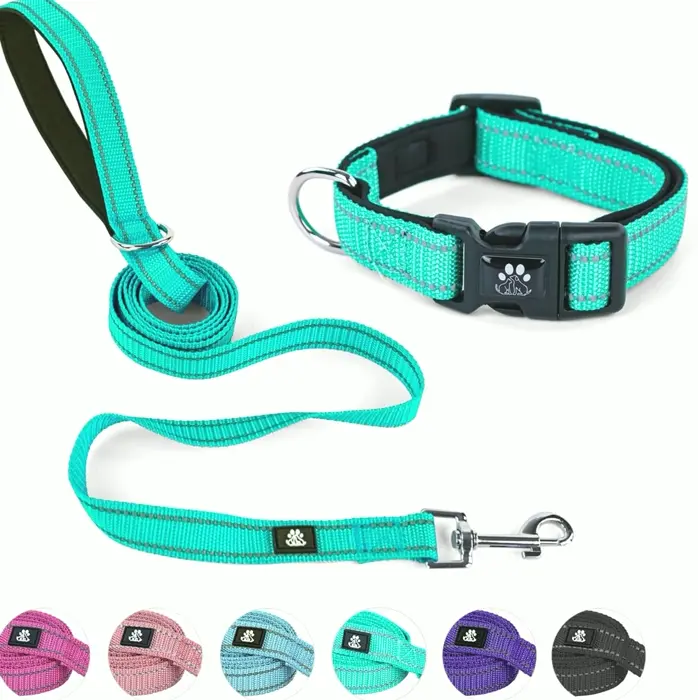 Reflective Dog Collar and Leash Set
