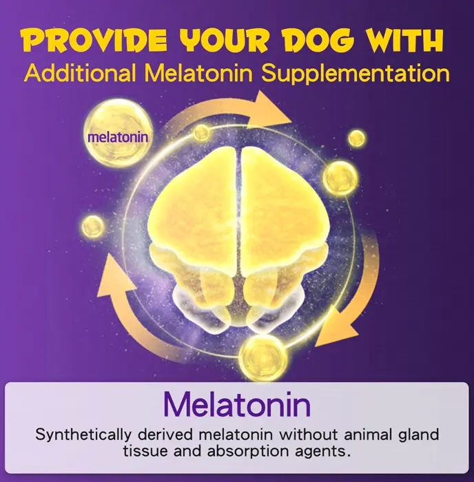 Dog Calming Aid with Relief Drops - 2 Fl Oz, Bacon Flavor