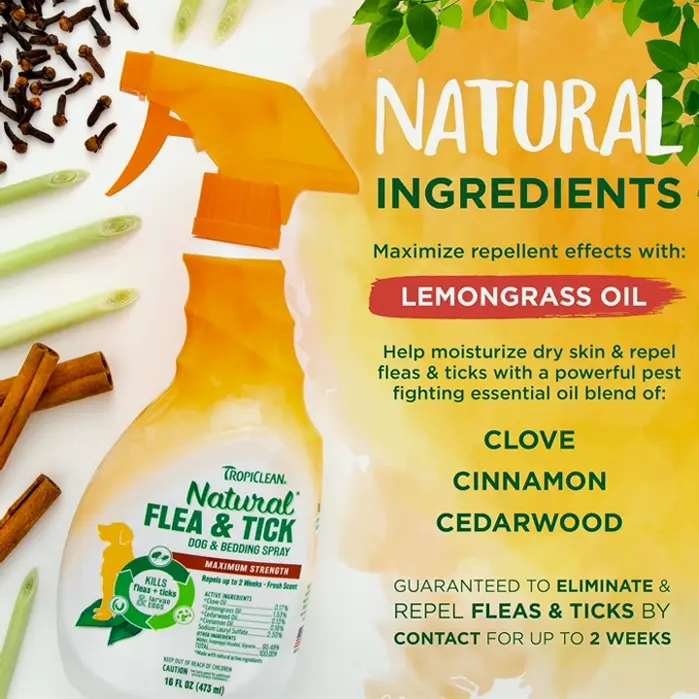 Natural Flea & Tick Treatment for Canines, 16oz