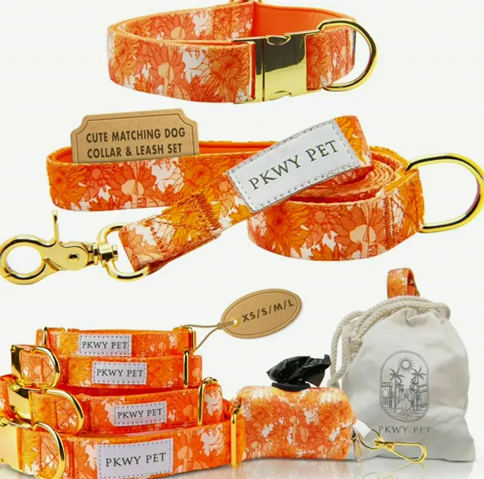 Matching Dog Collar and Leash Set with Storage (S)