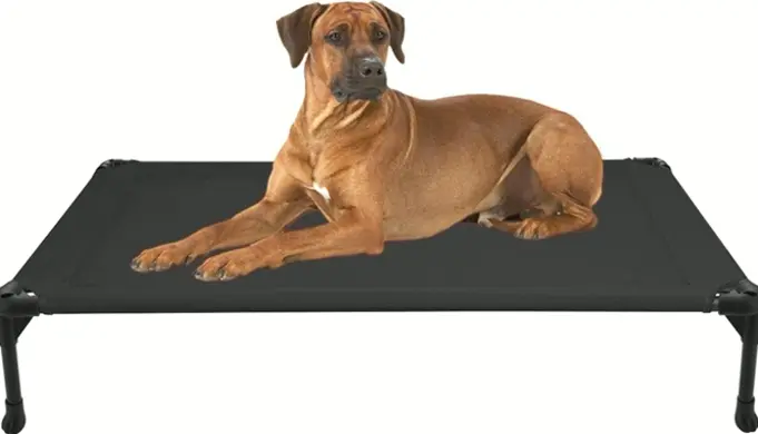 Refreshing Lifted Pet Bed, Moveable & Cleanable Fabric