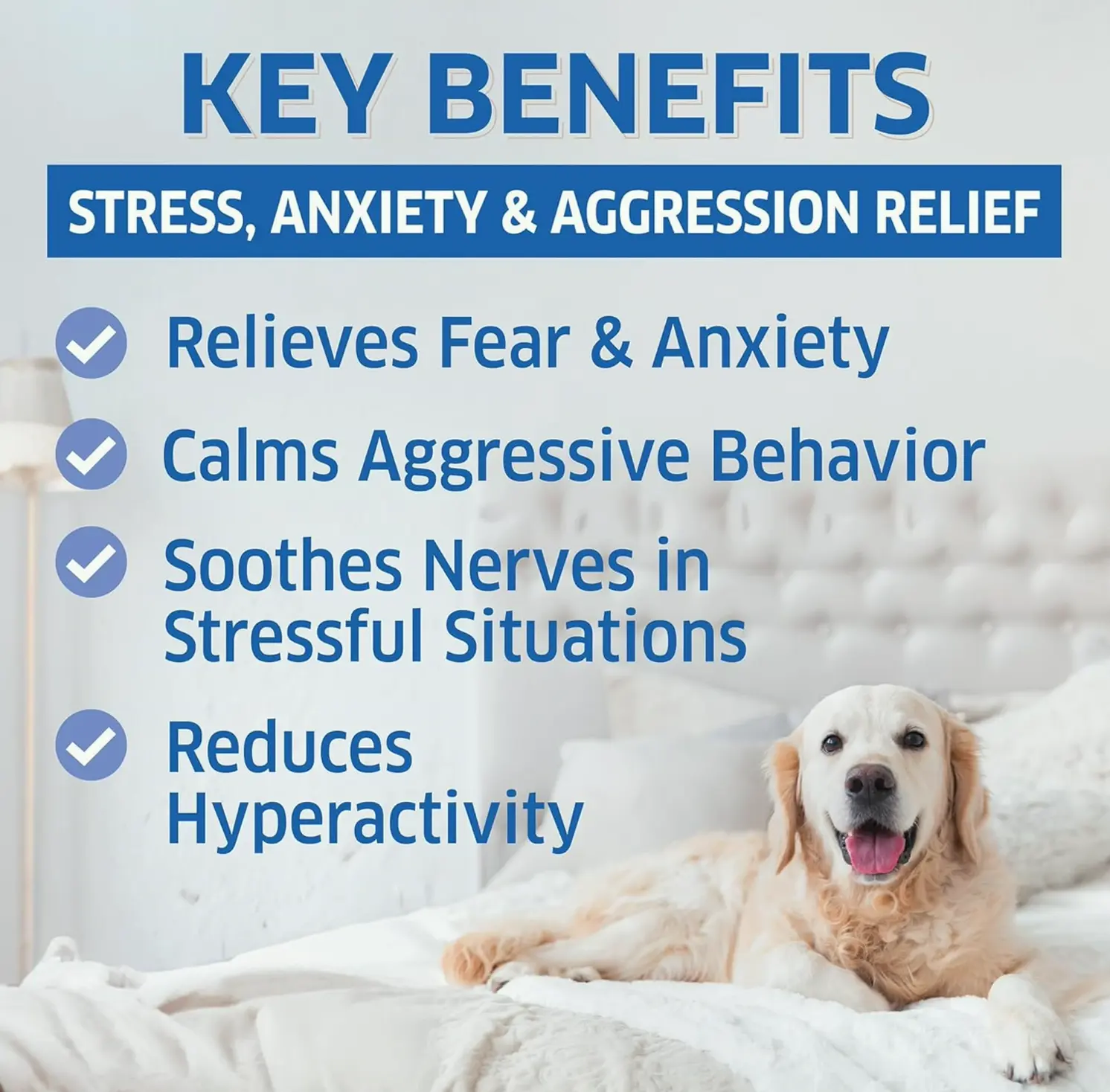 Soothing Treats for Dogs - Organic Anxiety Relief - 120 Treats