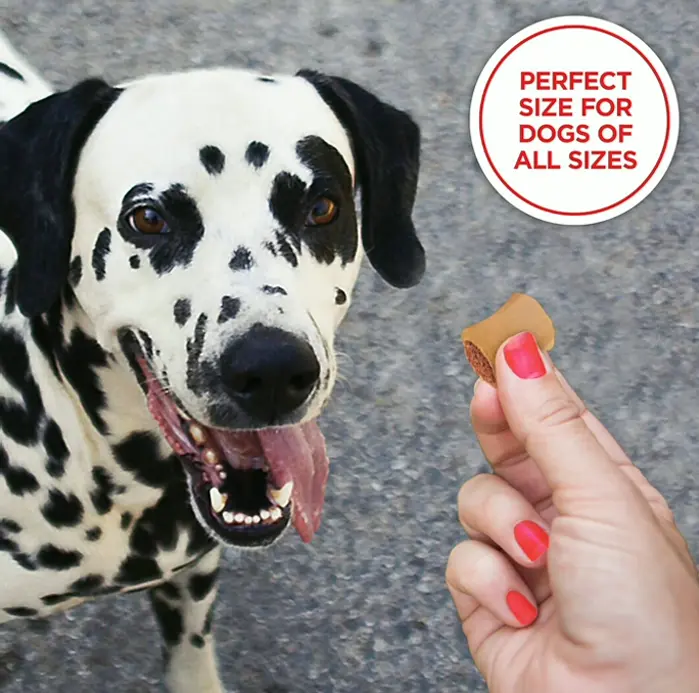 Milk Dog Treats, Meat, 40 Ounces (Pack of 2)