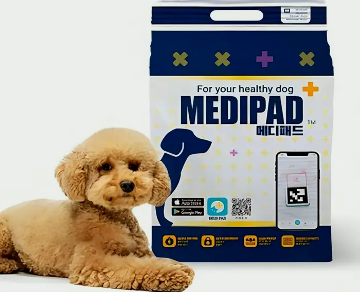 Absorbent Leak-Proof Training Pet Pads - 25-Pack