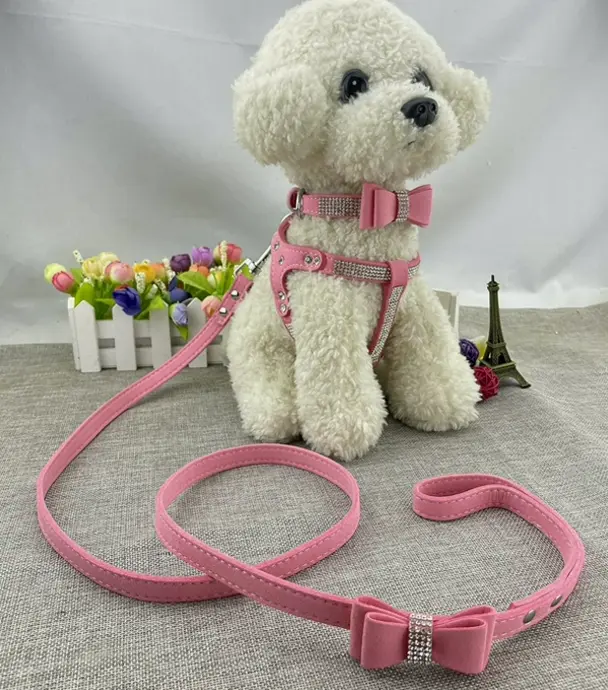 Bowtie Puppy Collar Kit with Harnessing & Lead - Blush