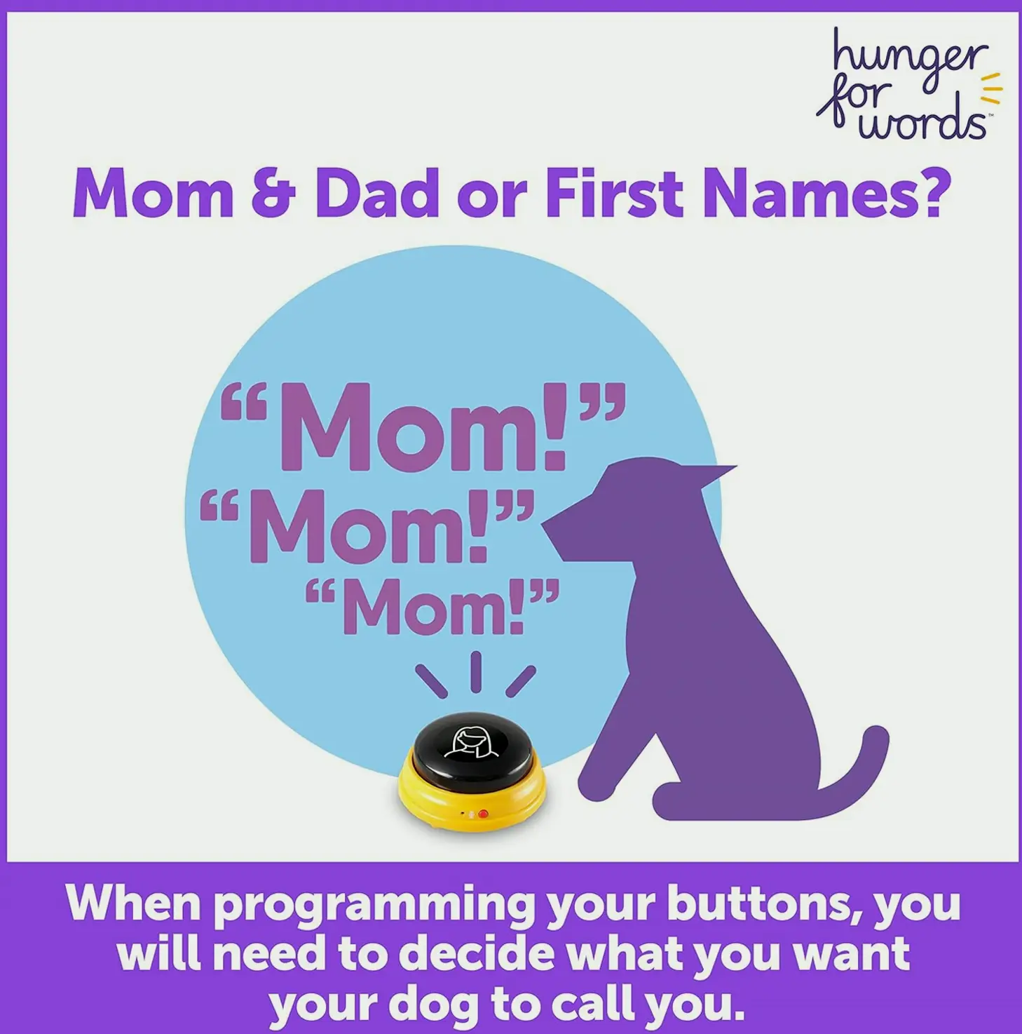 Animal Talk Recorders Set