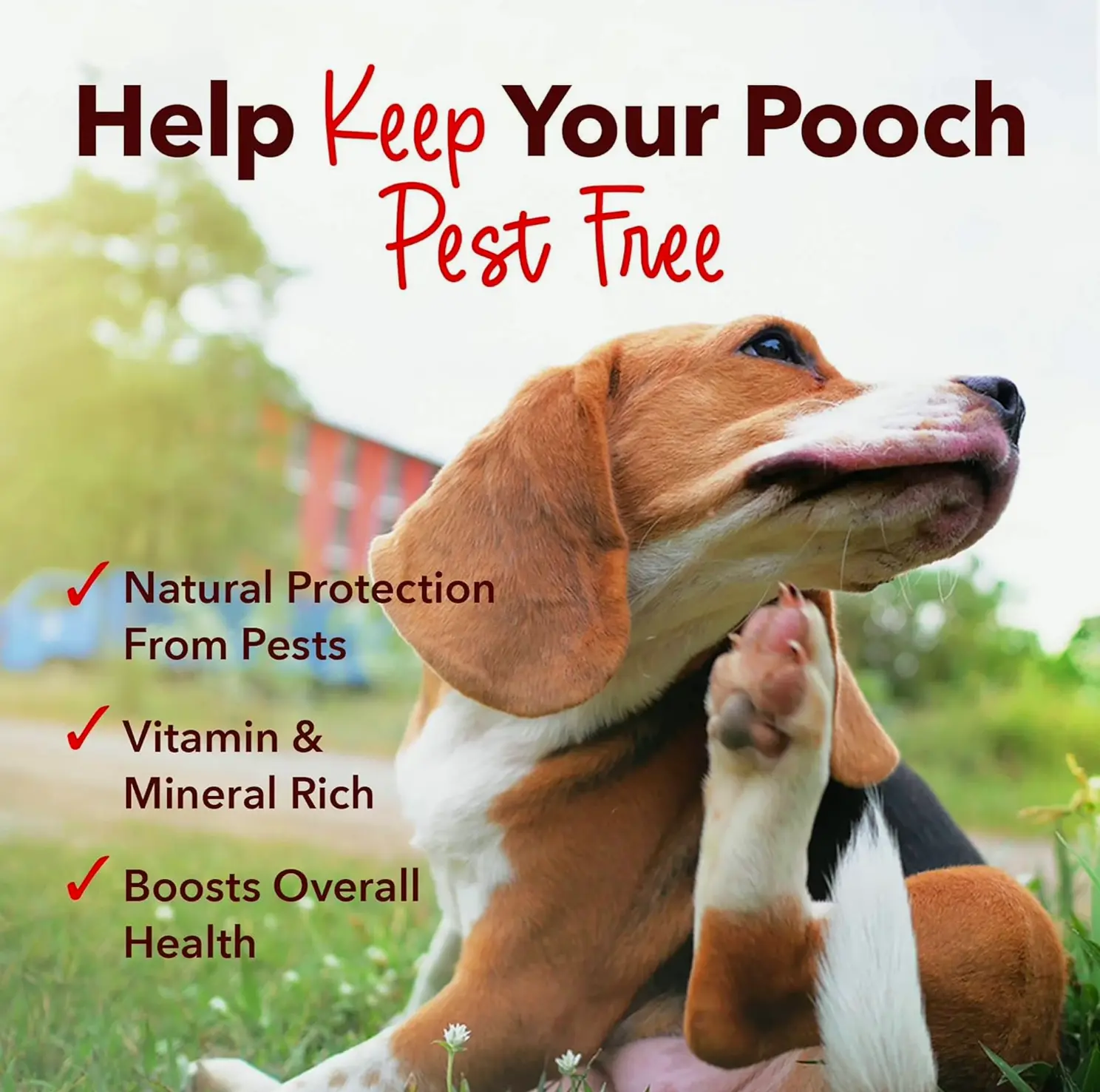 All-Natural Canine Flea & Tick Chews - Ninety Pieces
