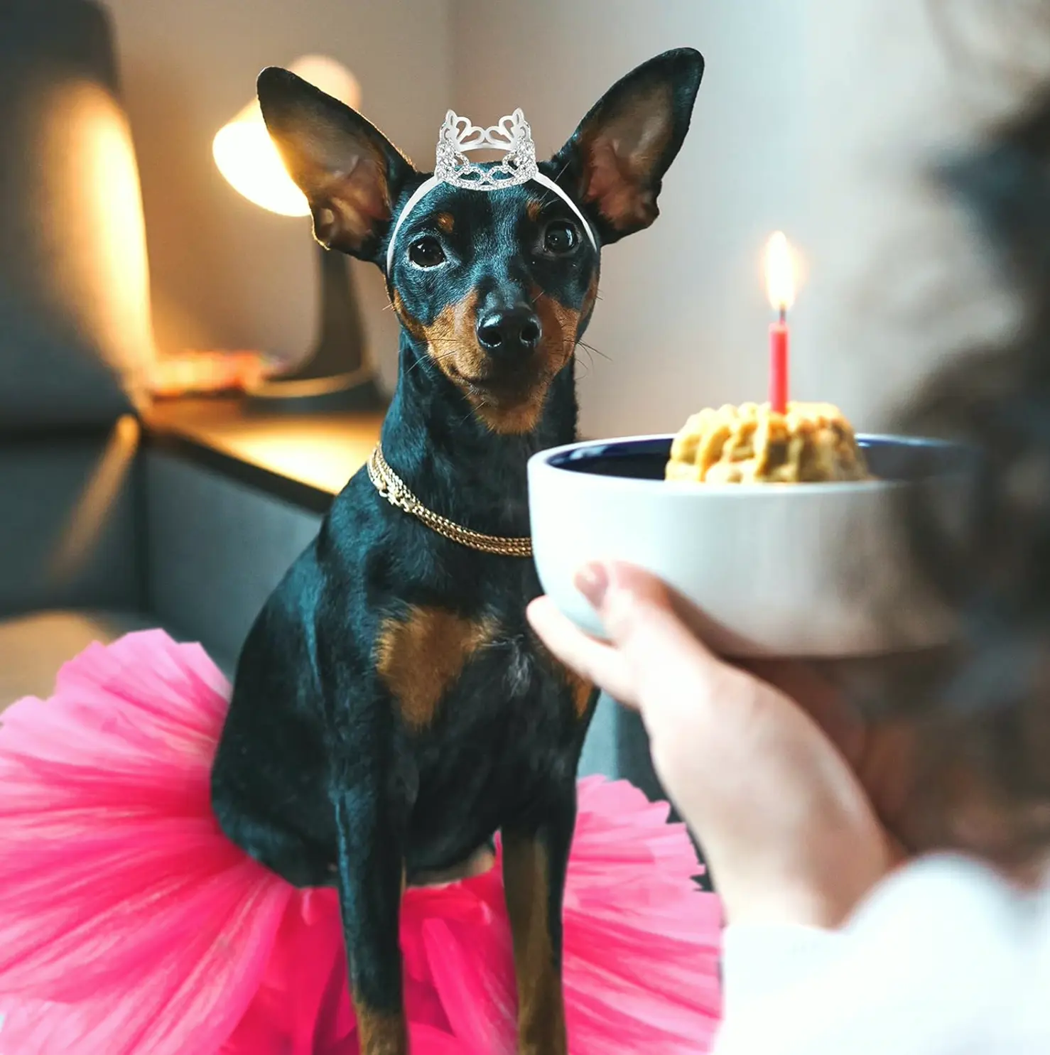 2 Pcs Dog Crown and Tutu Dress Set for Parties and Photos