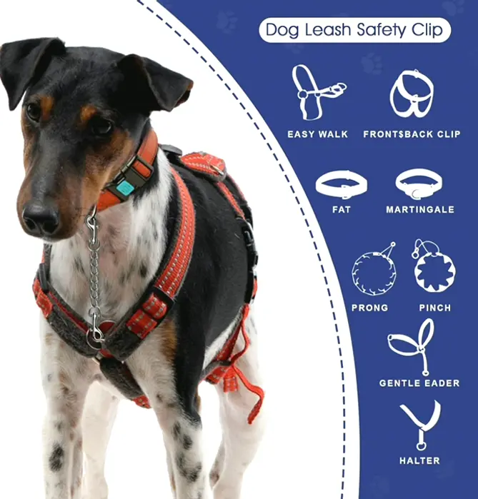Steel Dog Collar Secure Clip, 4 Pack Heavy Strong Canine Prong Collar Double Ended Backup Clasp