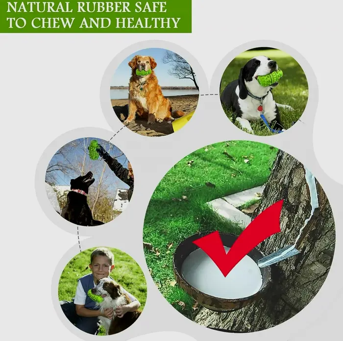Natural Rubber Dog Toy for Large Chewers