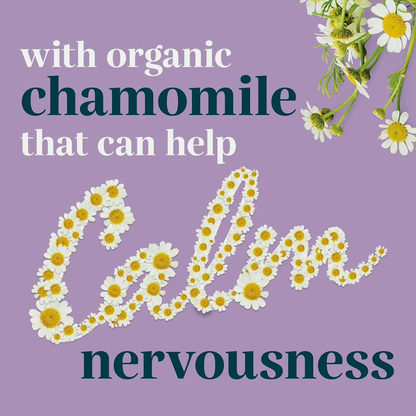 Purina Dog Chews - 10.6-ounce Canister