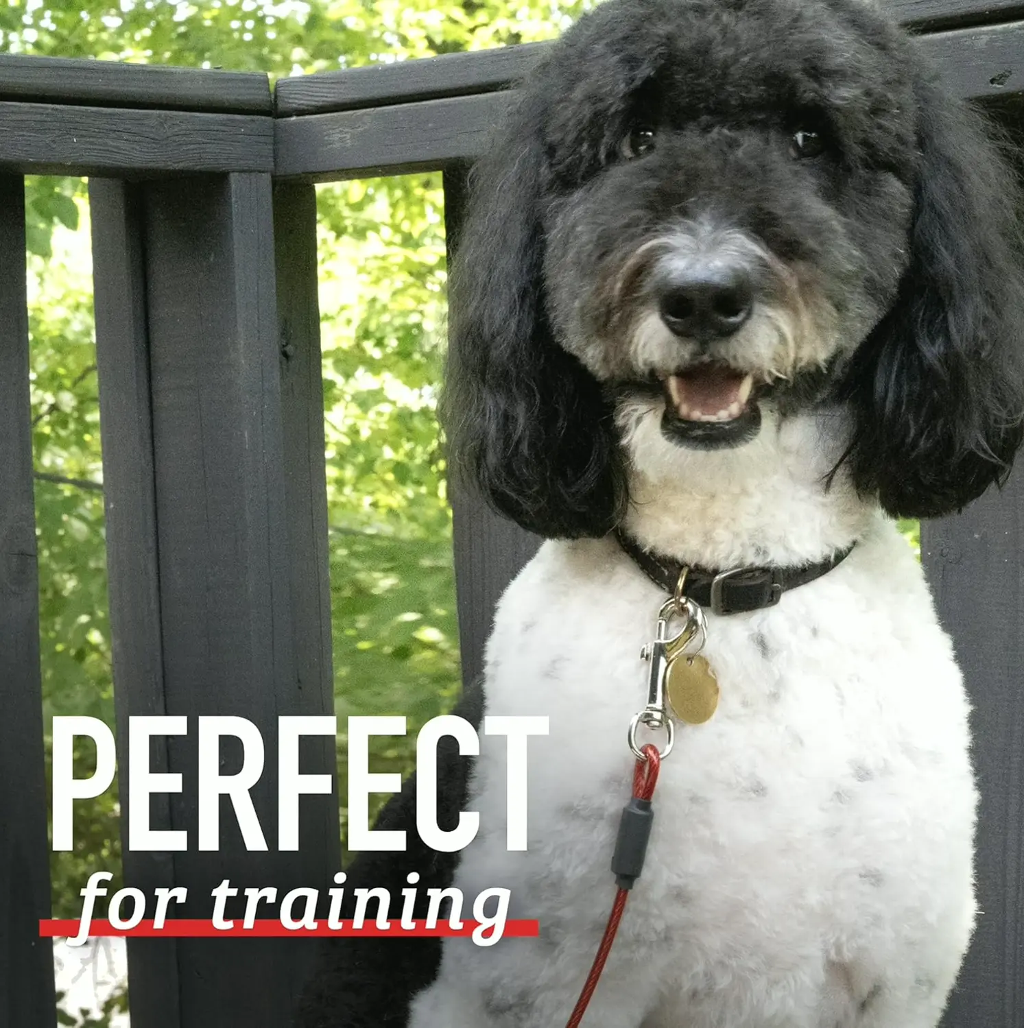 Durable Pet Tether Leash for Large Dogs - 5 Ft Chew-Proof