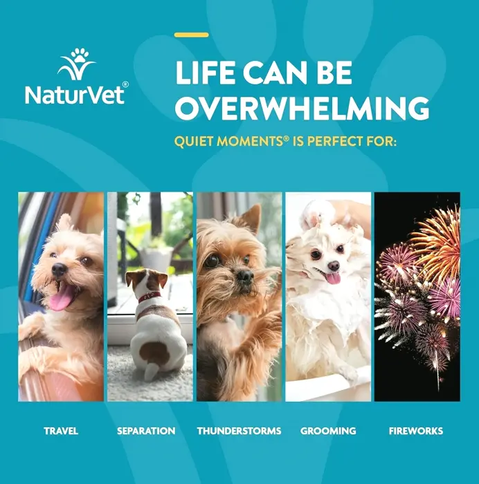 NaturVet Calming Canine Aid - 70 Soft Chews